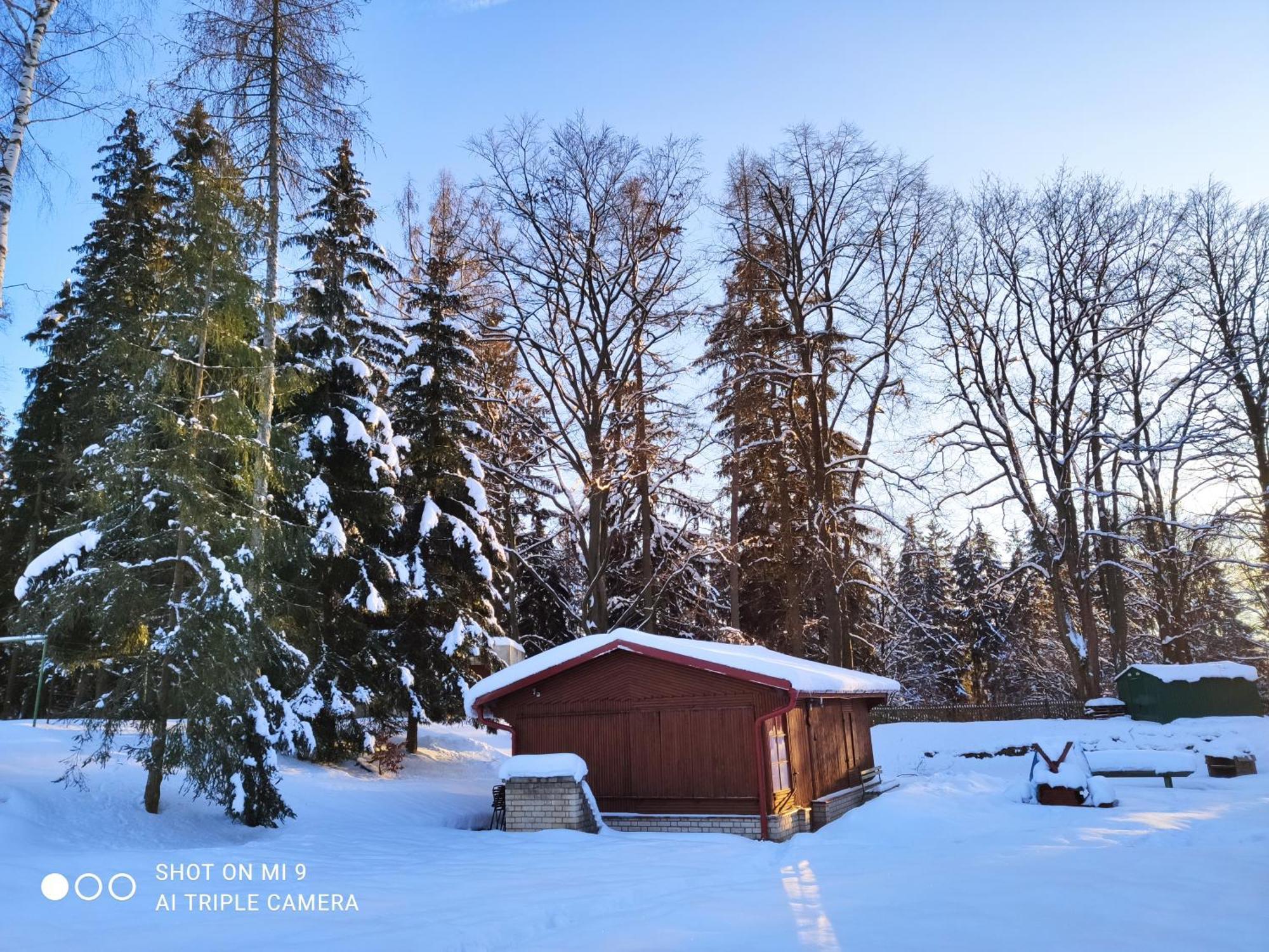 Lesni Chaty "Hogo Fogo" Kytlice Exterior photo