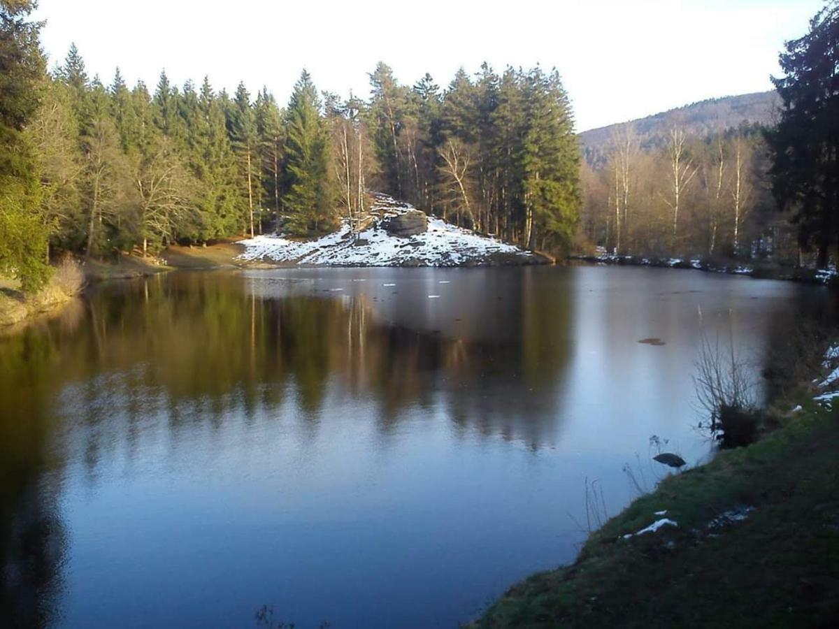 Lesni Chaty "Hogo Fogo" Kytlice Exterior photo